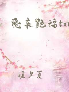 飞来艳福txt