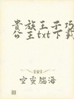 贵族王子巧遇穷公主txt下载