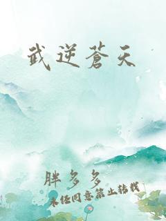 武逆苍天