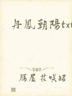 丹凤朝阳txt
