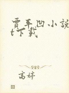 贾平凹小说txt下载