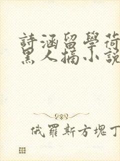 诗涵留学荷兰被黑人摘小说