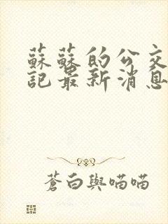 苏苏的公交车日记最新消息