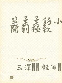 宁柔柔的小泬撑开到极致