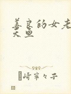 善良的女老师木天鱼