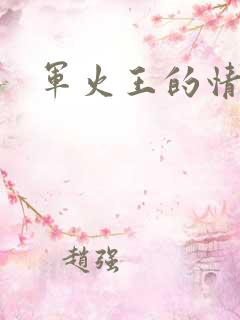 军火王的情人