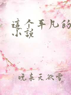 这个平凡的男子小说