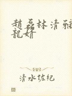 赵磊林清雅上门龙婿