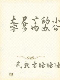 大尺寸的小黄说字多肉办公室作文