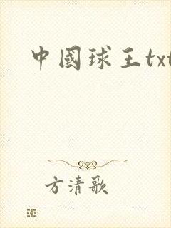 中国球王txt