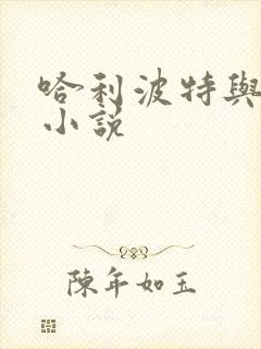 哈利波特与密室小说