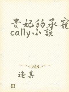 贵妃的承宠日常cally小说