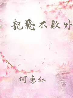 龙飞不败外传