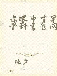 你眼中有星辰h骨科书包网