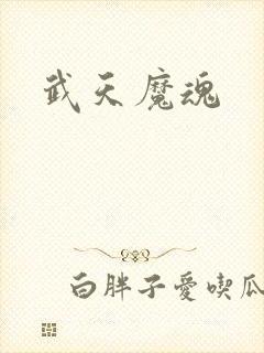 武天魔魂