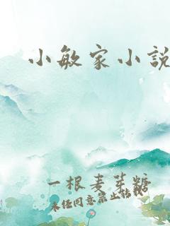 小敏家小说