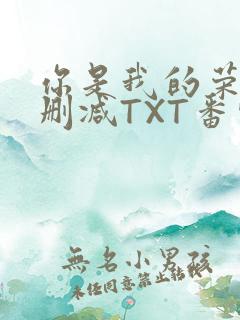 你是我的荣耀未删减TXT番外