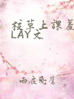 校草上课羞耻PLAY文