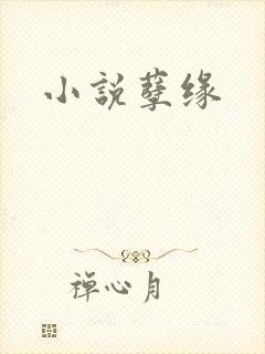 小说孽缘