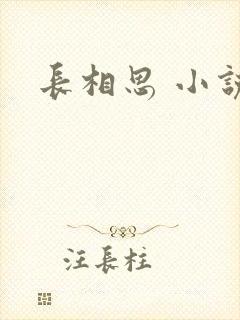 长相思 小说