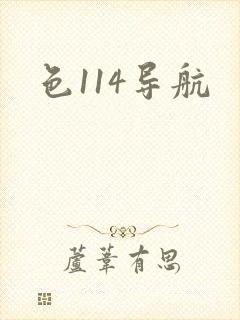 色114导航