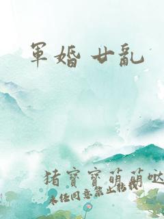 军婚 廿乱