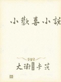 小欢喜小说