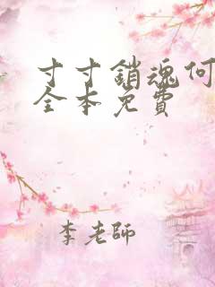 寸寸销魂何生祥全本免费