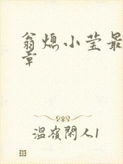 翁熄小莹最新节章
