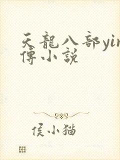 天龙八部yin传小说