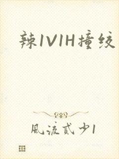 辣1V1H撞绞