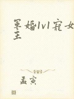 军婚1v1宠女主