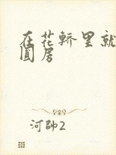 在花轿里就开始圆房