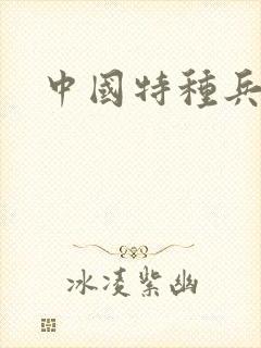 中国特种兵小说