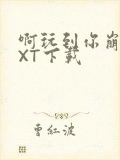 啊玩到你崩溃TXT下载