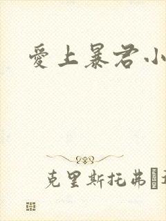 爱上暴君小甜心