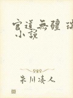 官道无疆 瑞根 小说