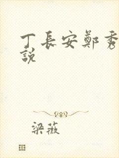 丁长安郑秀兰小说