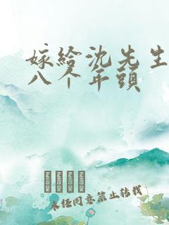 嫁给沈先生的第八个年头