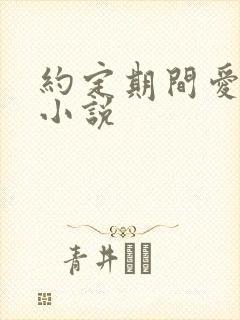 约定期间爱上你小说