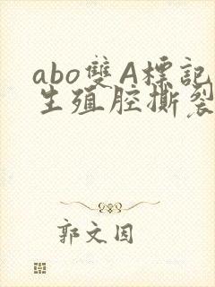 abo双A标记生殖腔撕裂