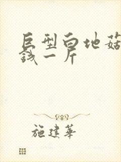 巨型白地菇多少钱一斤