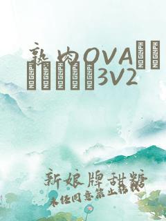 熟肉OVAちゃんはしたい3V2