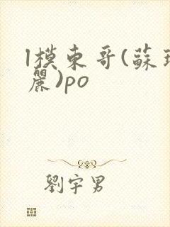 l模东哥(苏玛丽)po