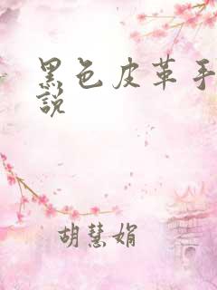 黑色皮革手册小说