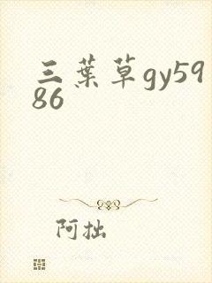 三叶草gy5986