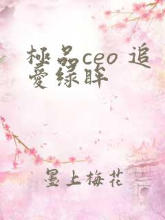 极品ceo 追爱绿眸