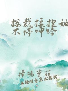 总裁揉捏她两乳不停呻吟