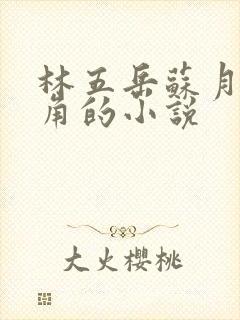 林五岳苏月灵主角的小说