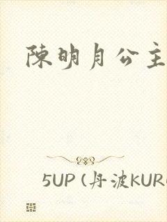 陈明月公主之夜